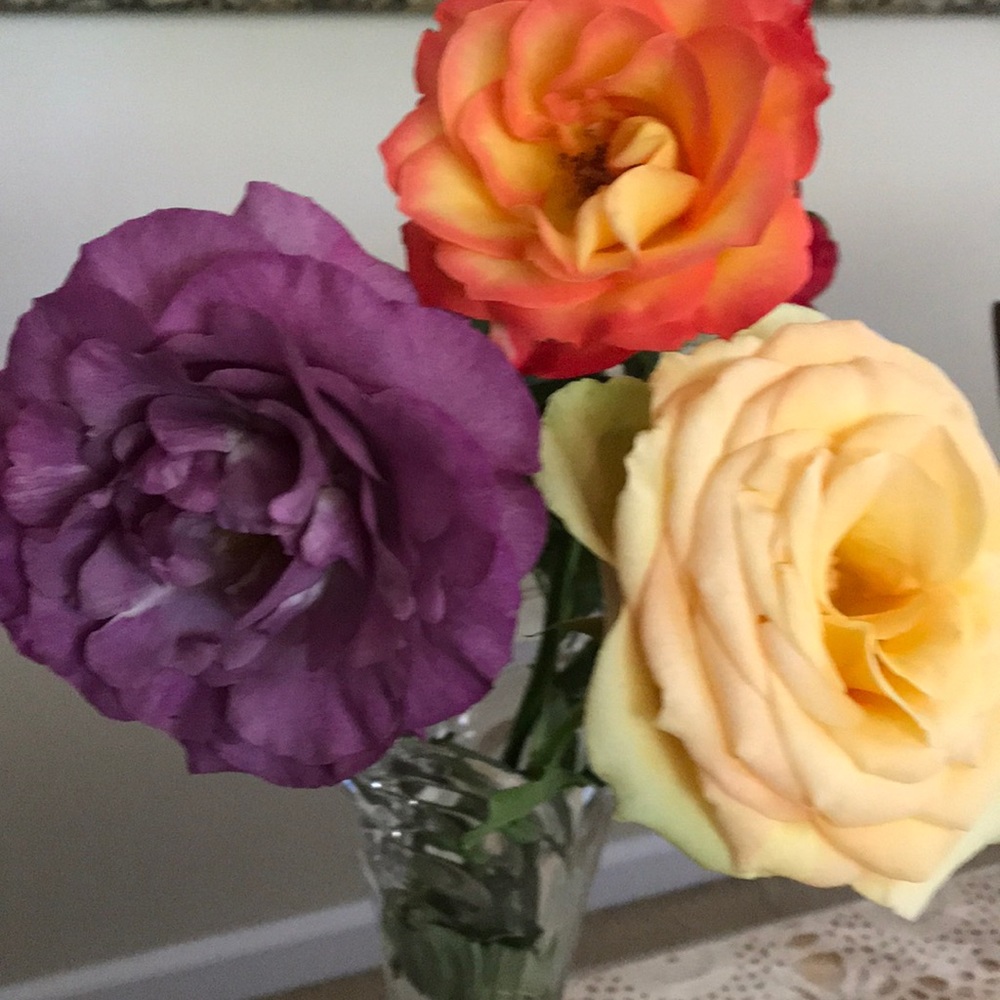 Meet your Posher, Pete